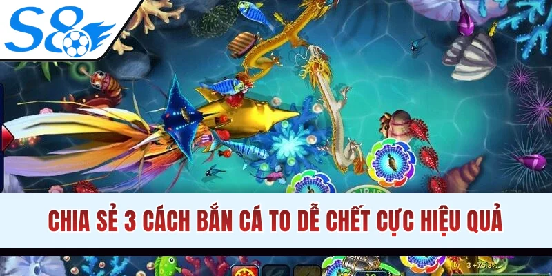 Chia sẻ 3 cách bắn cá to dễ chết cực hiệu quả